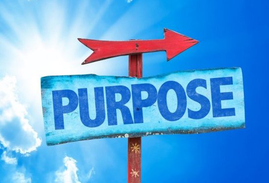 Purpose of SunBiz